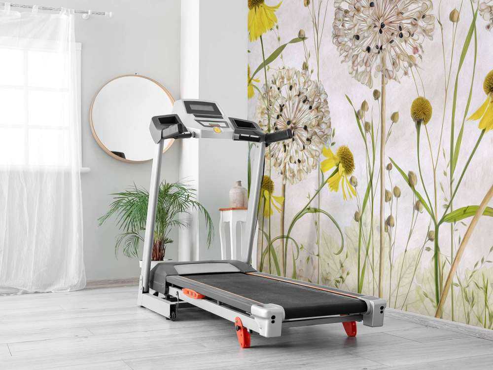 Alliums and heleniums