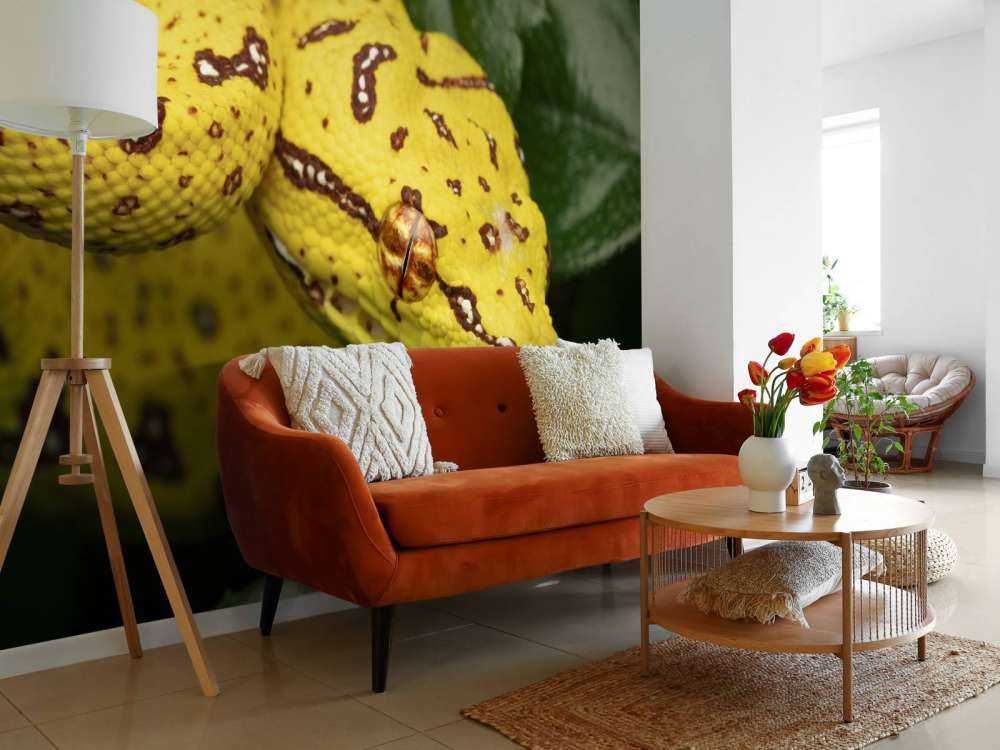 Närbild av trädpyton