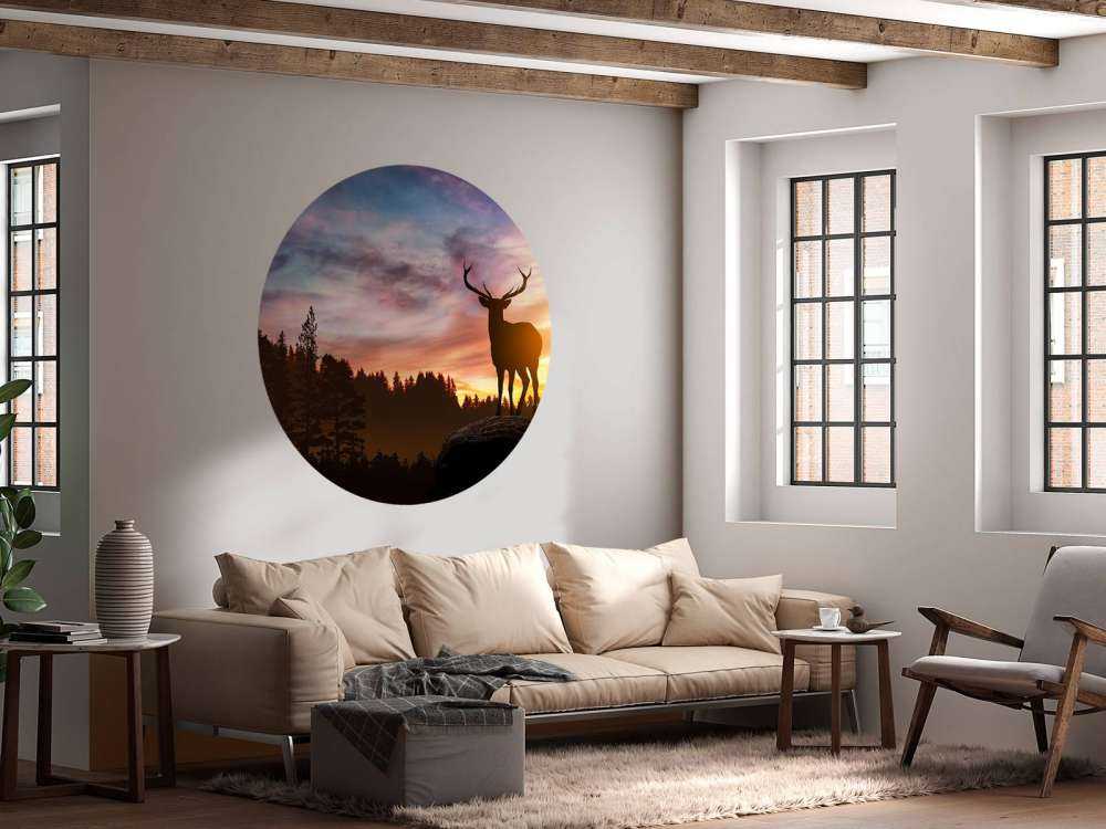 Rådjur i solnedgången