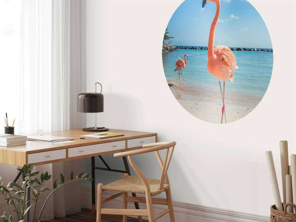 Flamingo på stranden