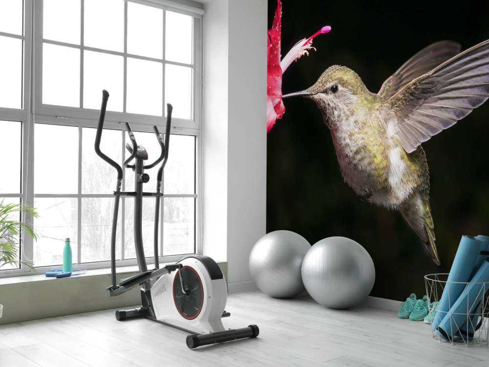 Kolibri med röd blomma