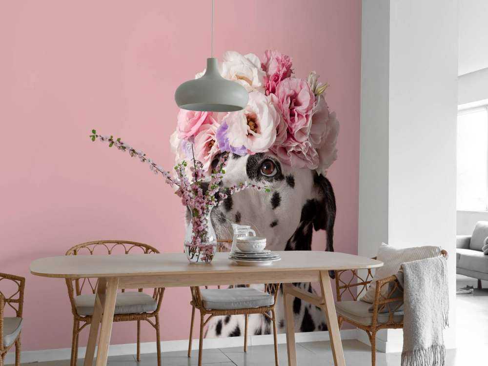 Dalmatinare med färgade blommor