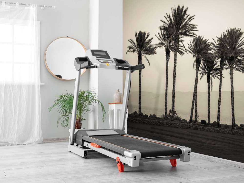 Palmer svart och vitt