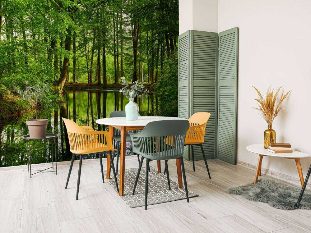 Trädens reflektion i vatten