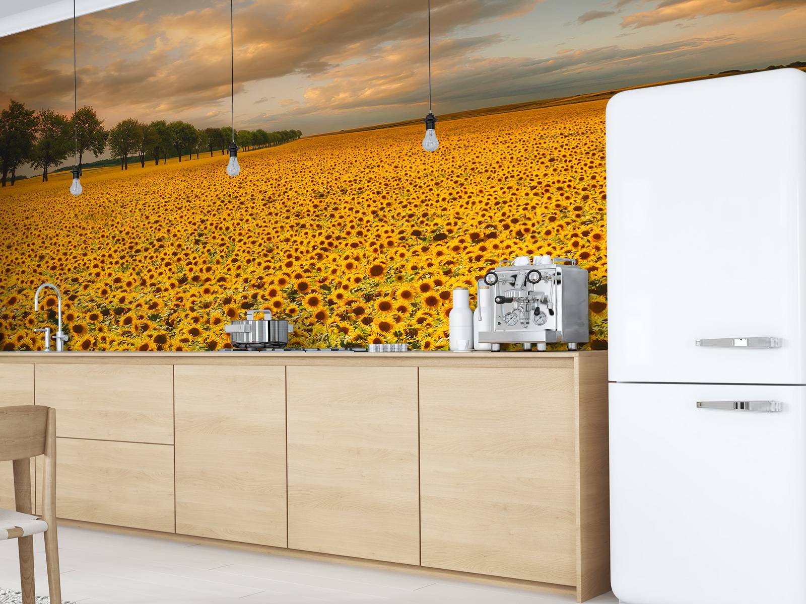 Sunflowers - Fototapet, image size:1600x1200