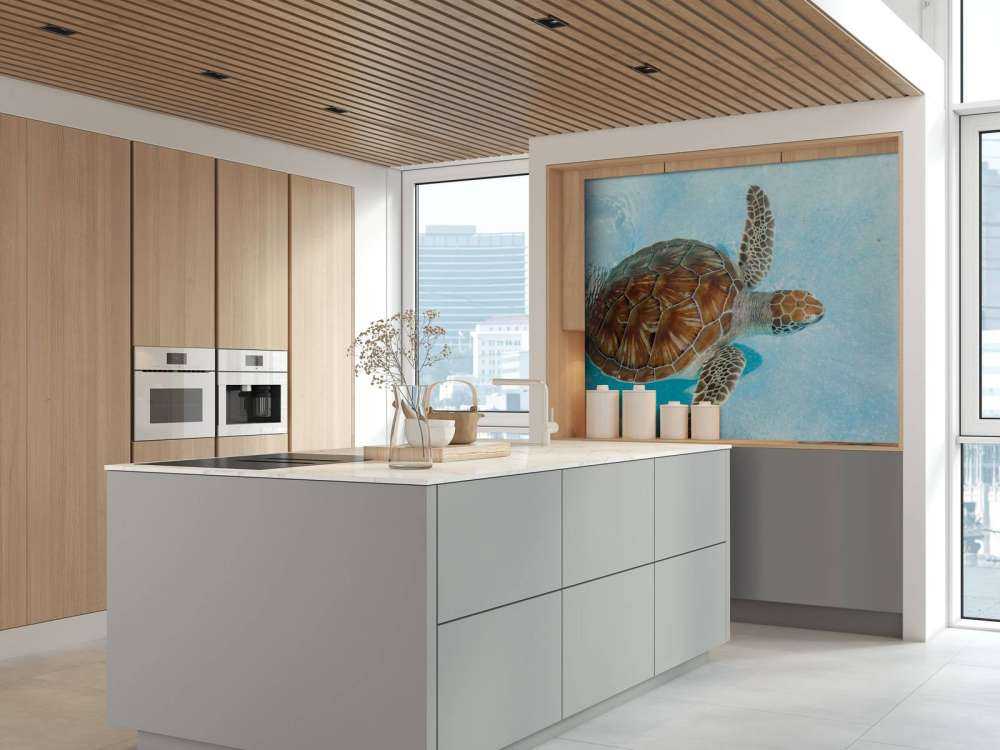 Skildpadde i vandet