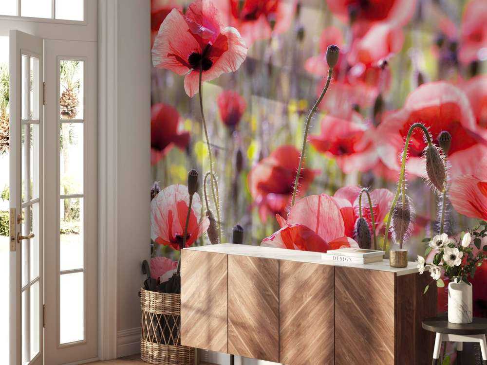 Valmuer med vintage look