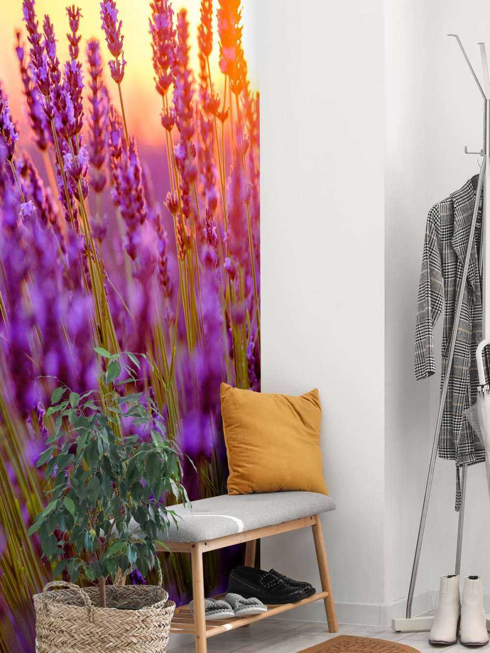 Nærbillede lavendel