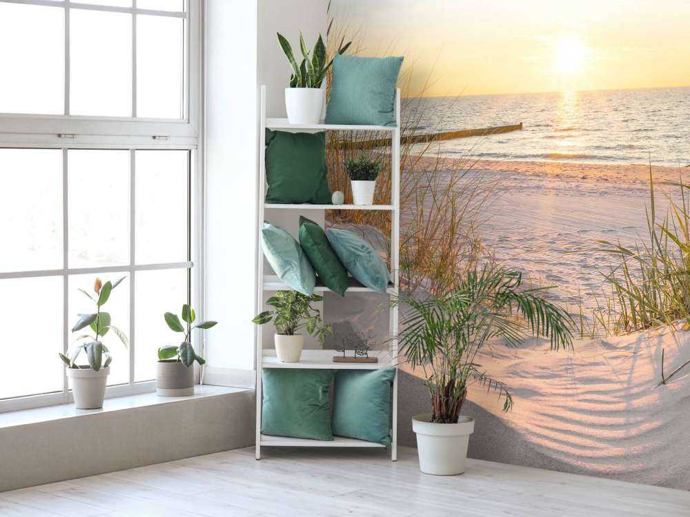 Klitstrand med solnedgang