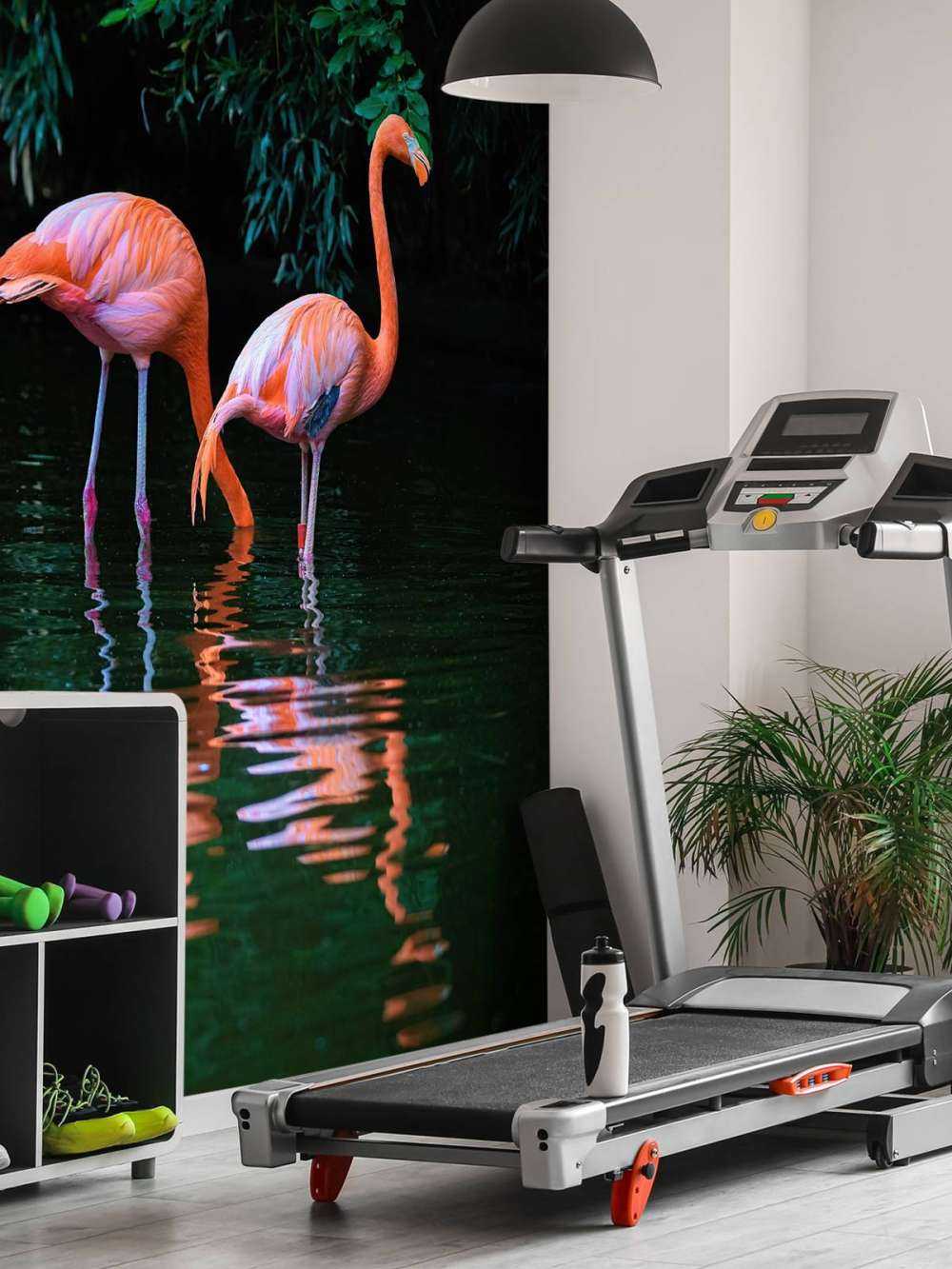 To bilibiske flamingoer
