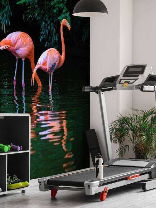 To bilibiske flamingoer