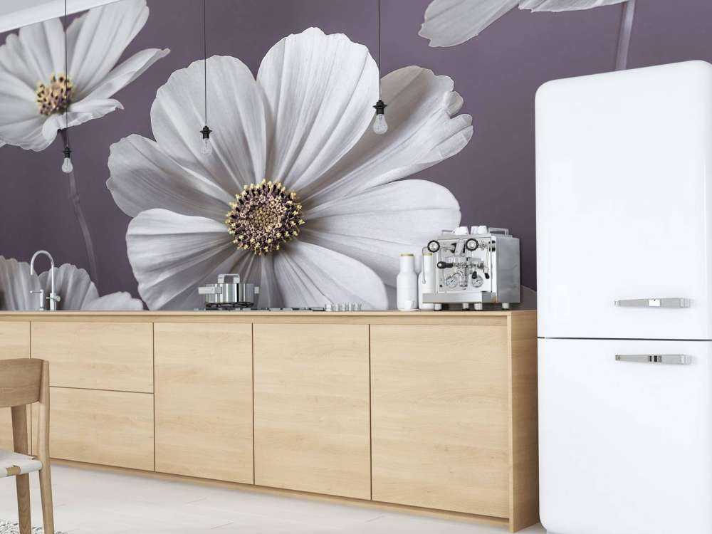 Cosmos blomster