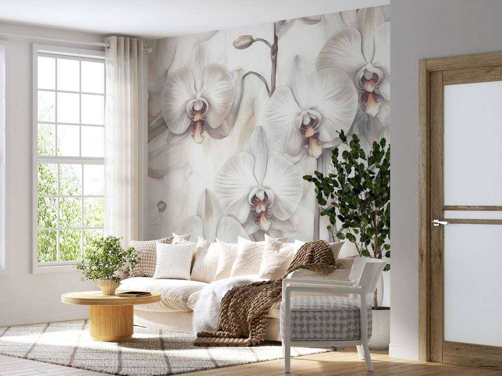 Orkideer Paradis Orange