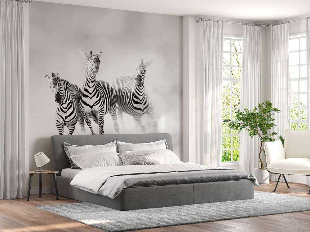 Zebraer