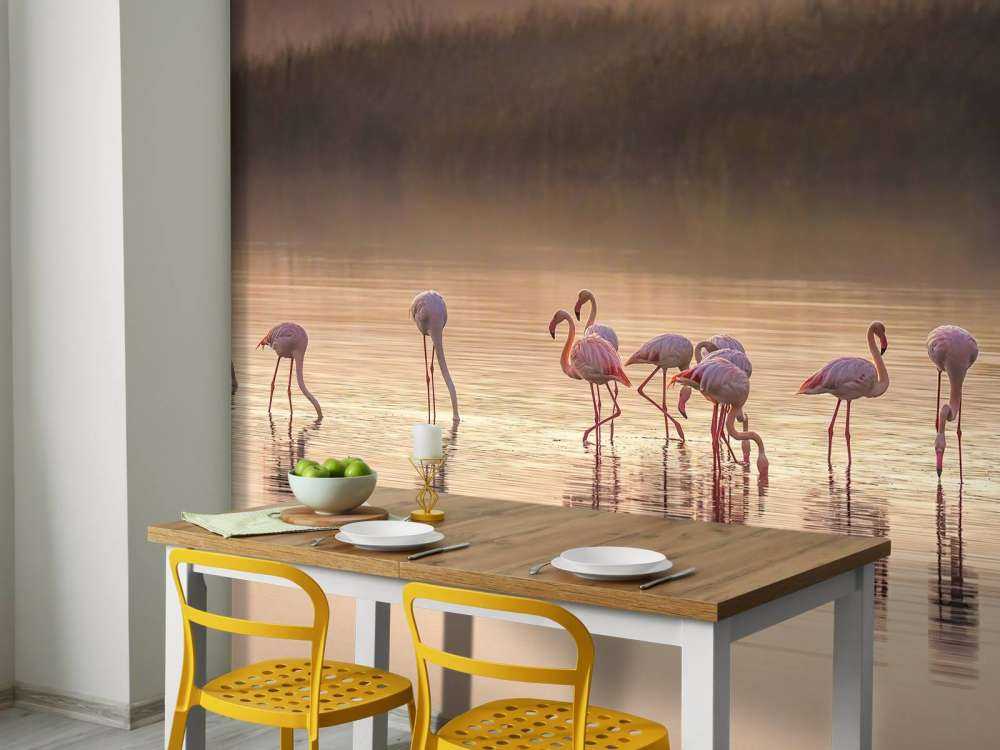 Fotografisk ode til Monet