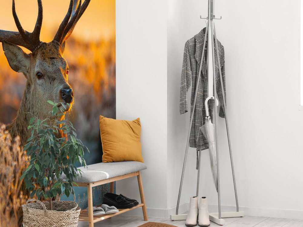 Hert in natuurgebied