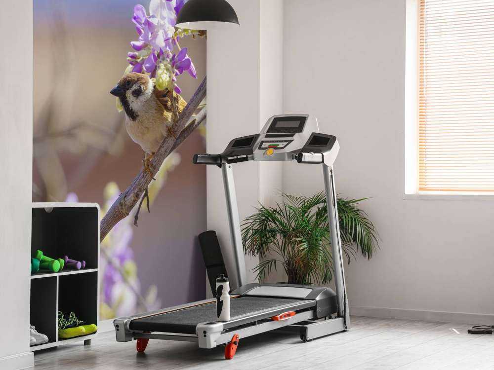 Mus og lilla blomster