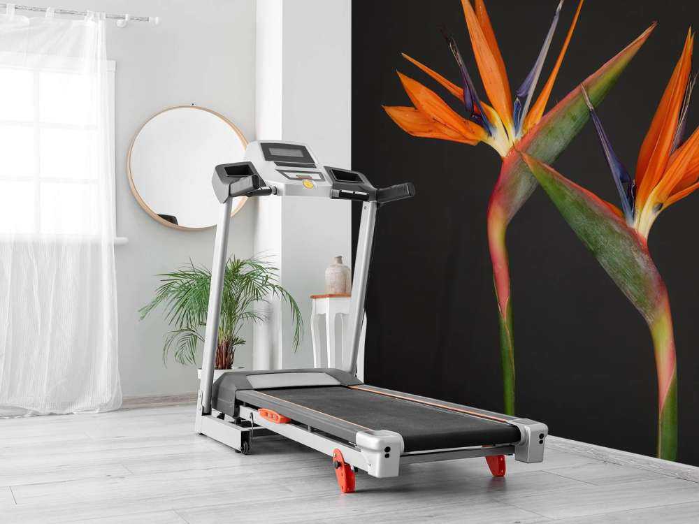 Paradisfuglens blomster