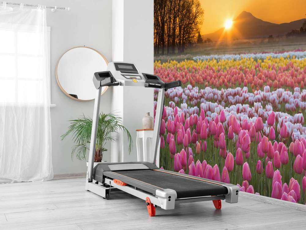 Farverig tulipanmark