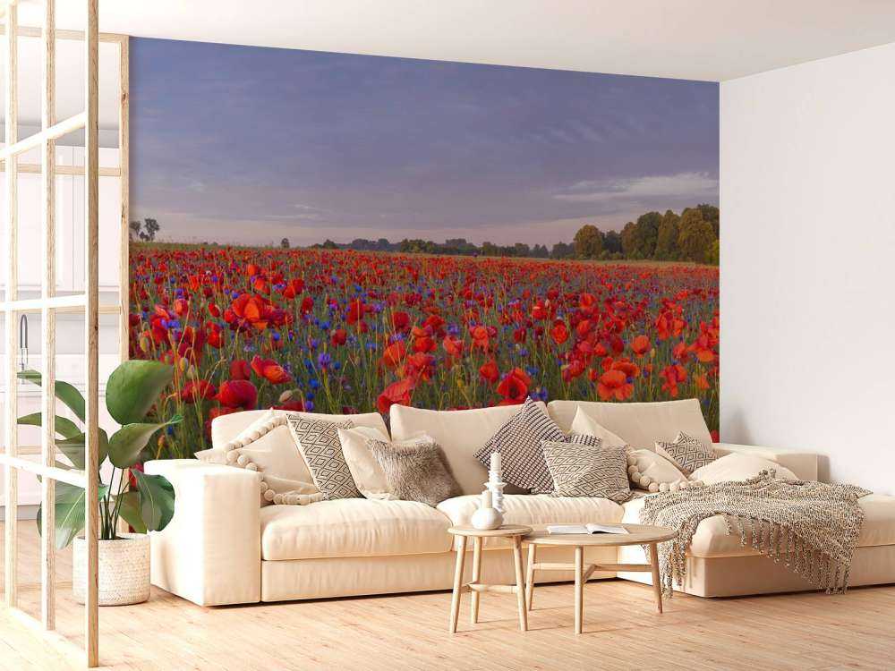 Blå blomster og røde valmuer