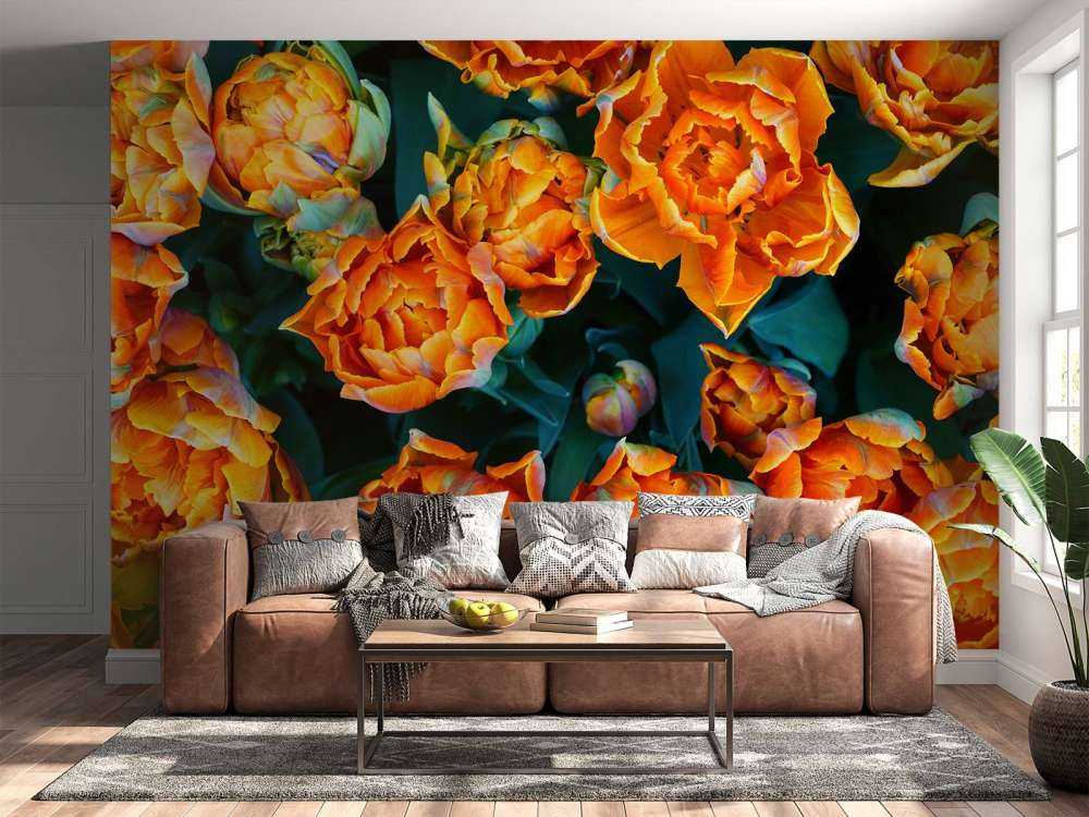 Nærbillede af orange tulipaner