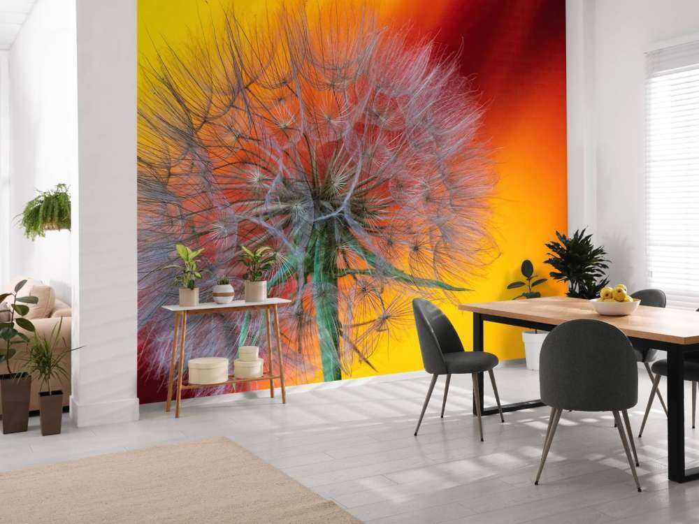 Nærbillede af mælkebøtte