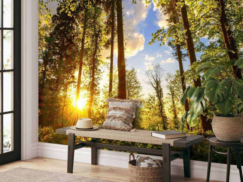 Solnedgang gennem træerne