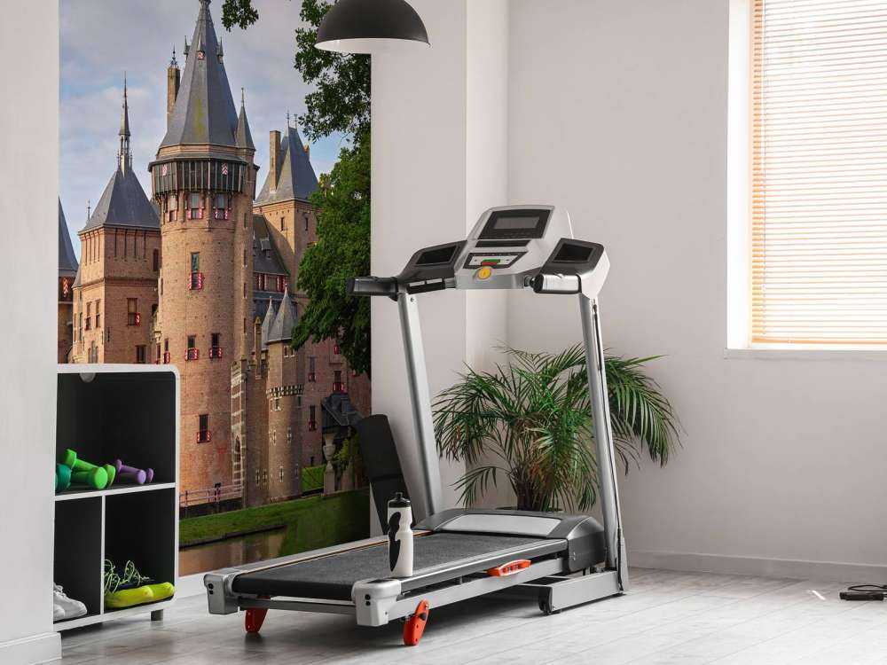 Castle foran De Haar Castle fra hagen