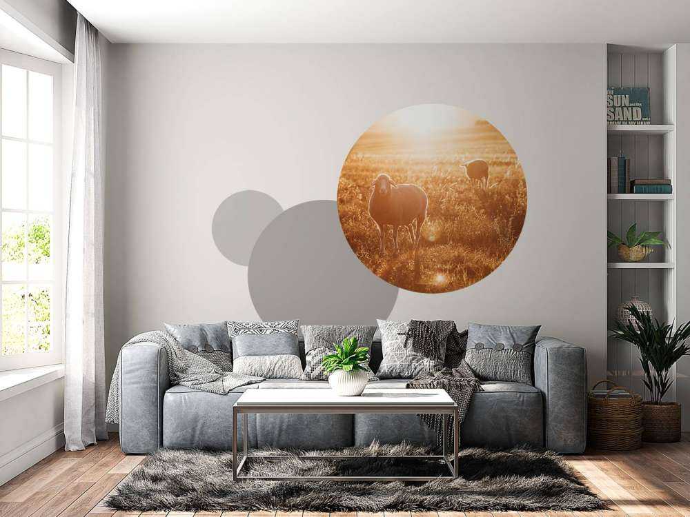 Sauer i vakkert beite