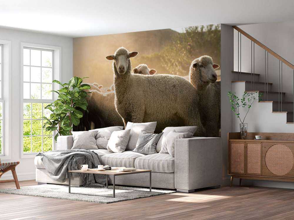 Saueflokk med gylden time