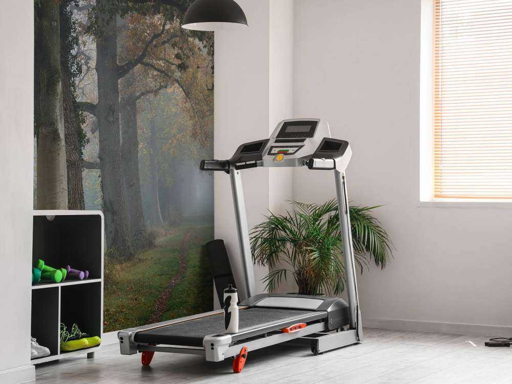 Lane med trær i tåken