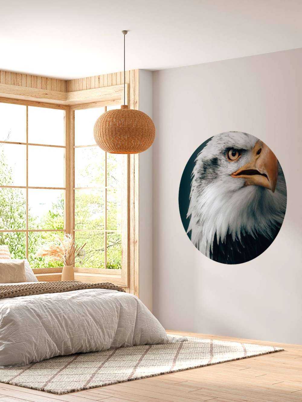 Stirrende Bald Eagle