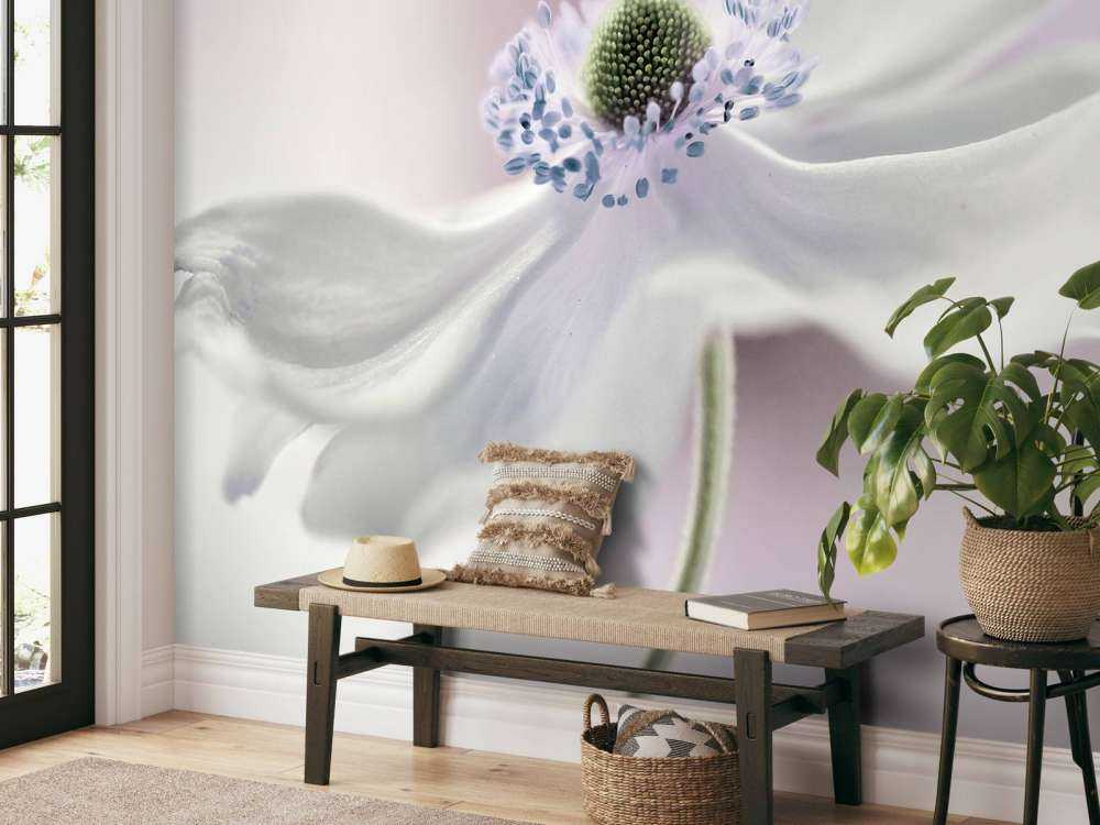 Anemone breeze