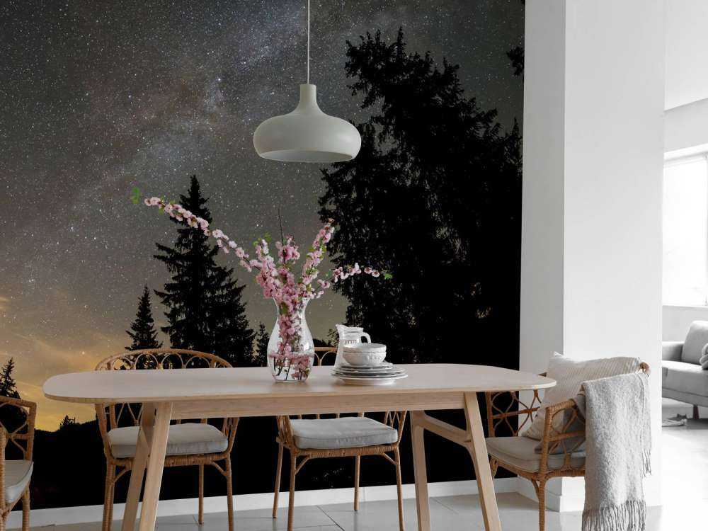 Himmel full av stjerner