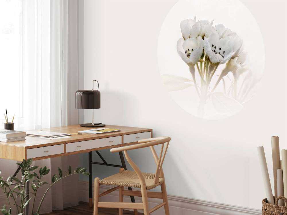 Pæreblomst nærbilde