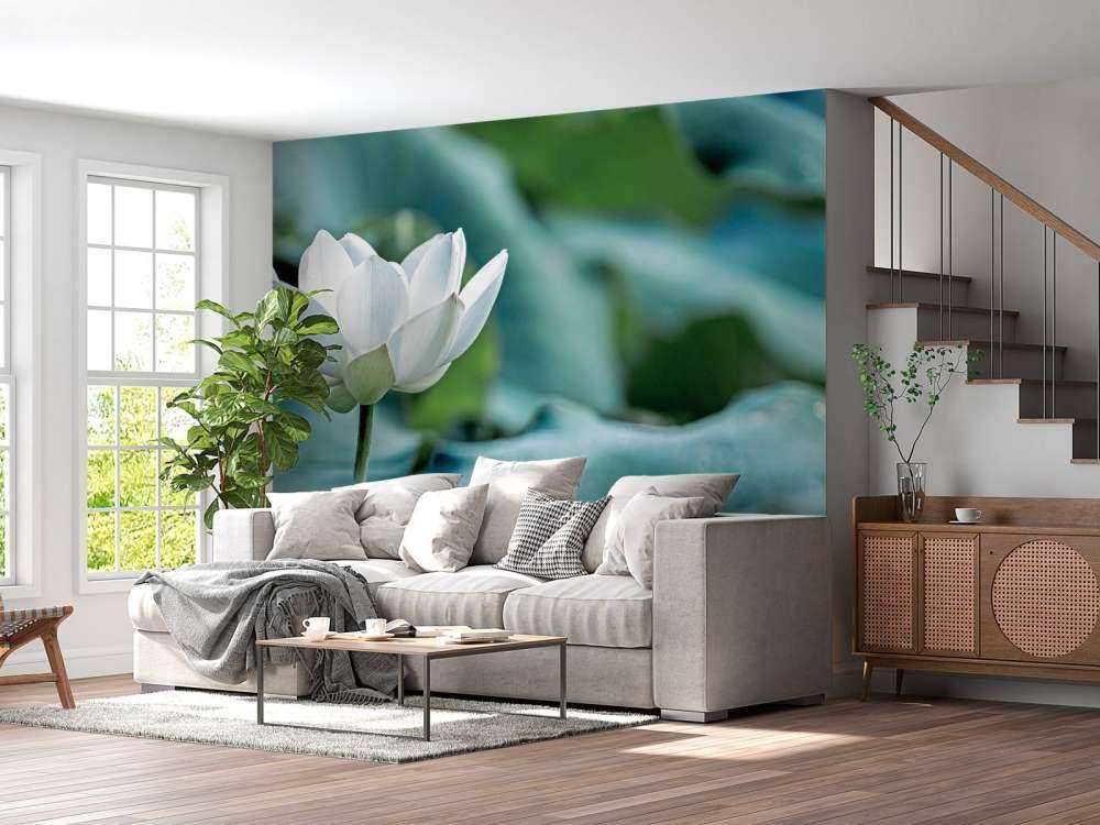 Hvit lotusblomst