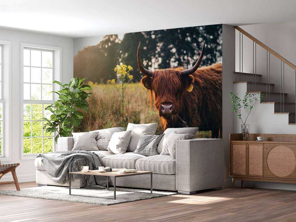 Det skotske høylandet i det høye gresset