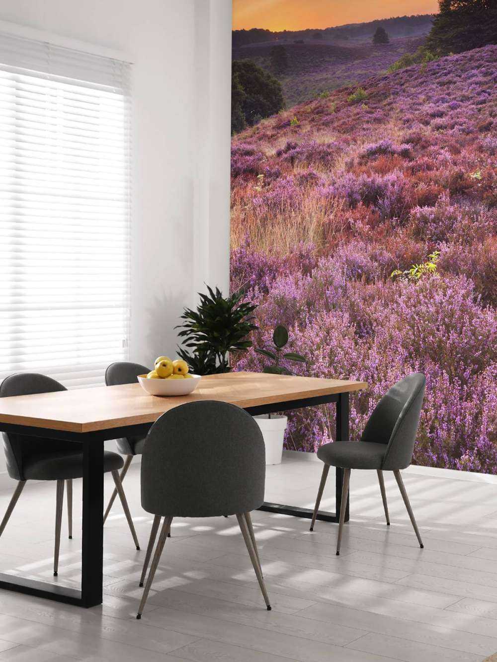 solnedgang i Posbank