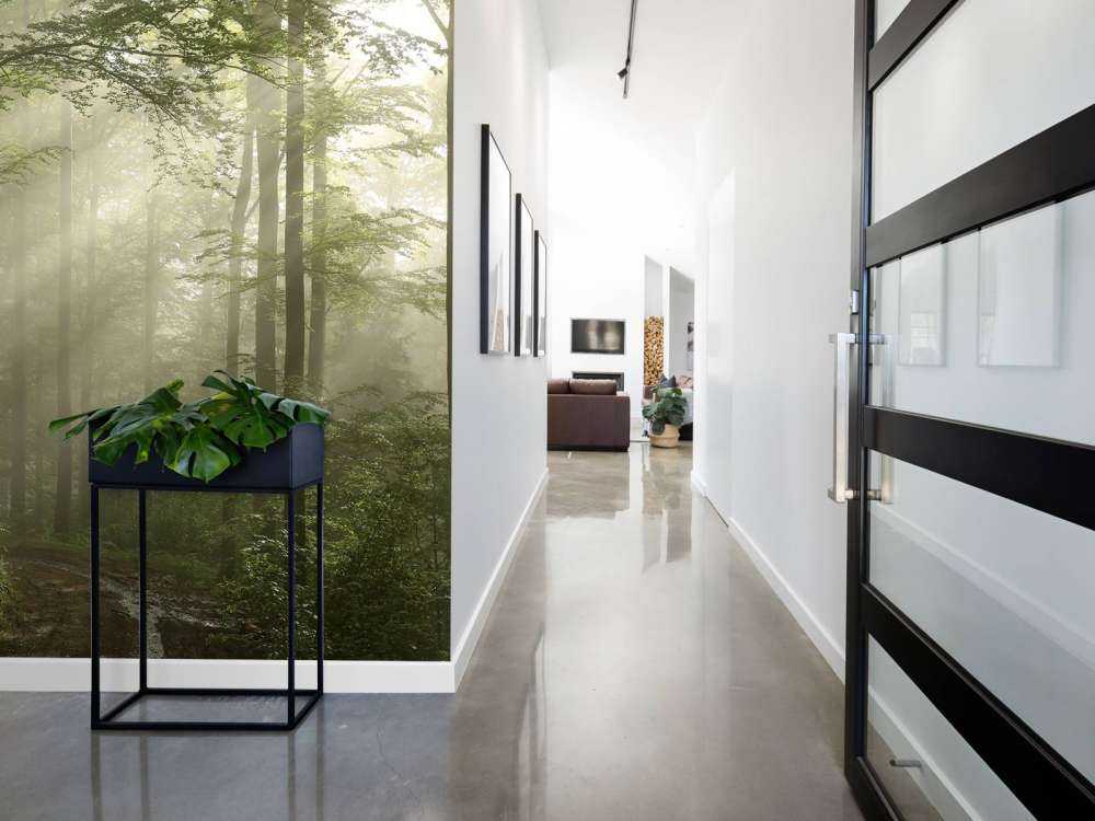 Grønn skog i tåken