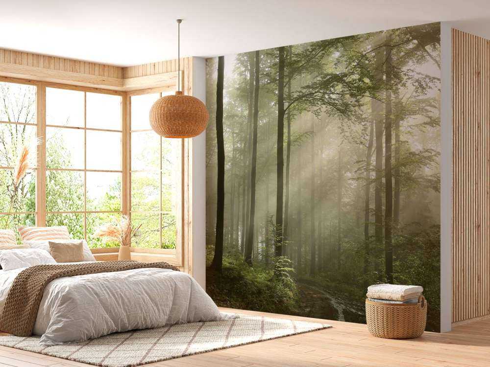 Grønn skog i tåken