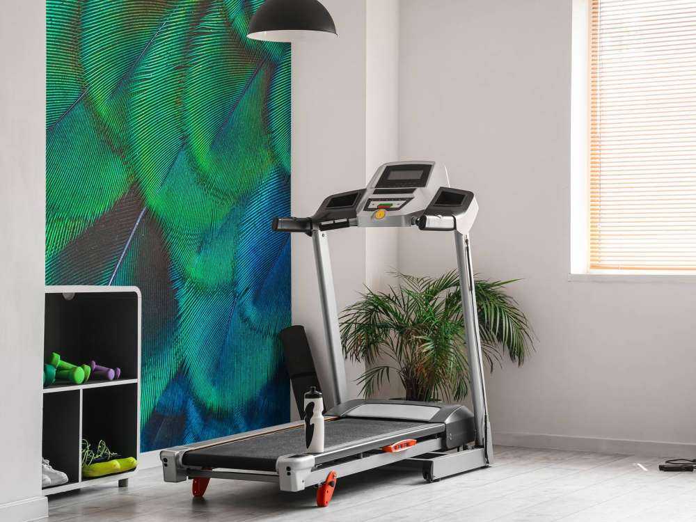 Nærbilde av påfuglfjær