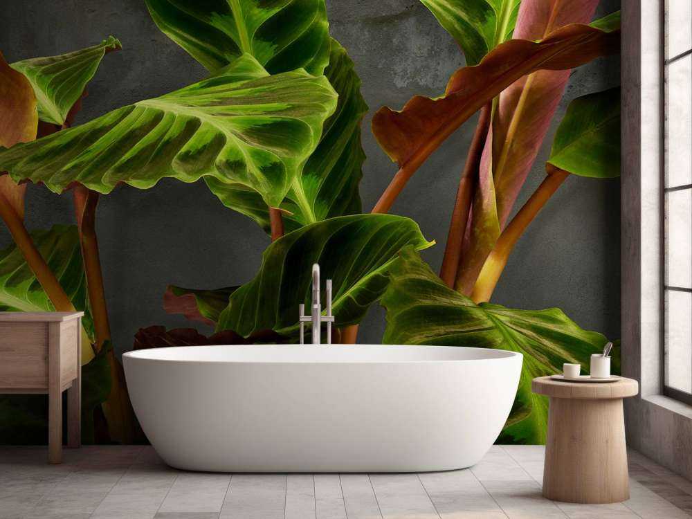 Plante med vakre grønne blader