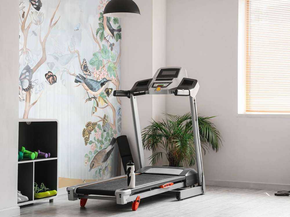 Fugler og Sommerfuglers Paradis