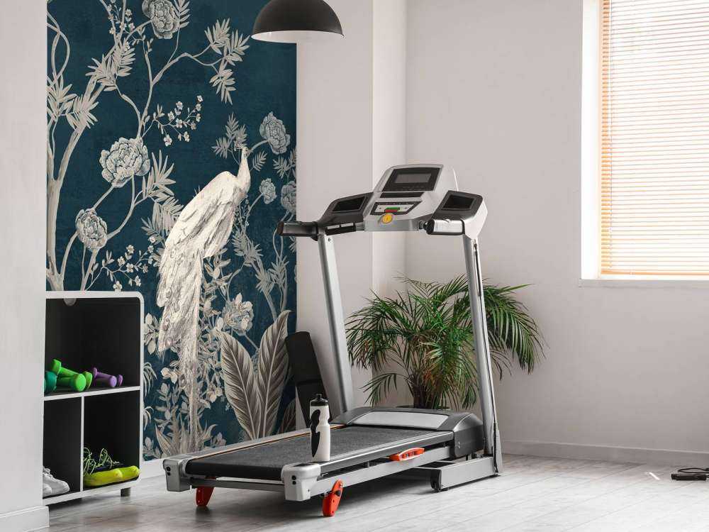 Påfuglprakt i Nattens Hage