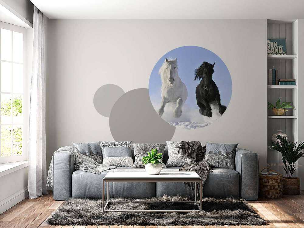 Hvit og en svart hest