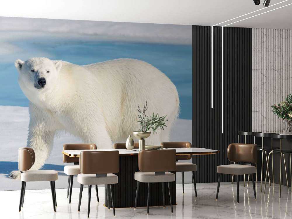 Isbjørn