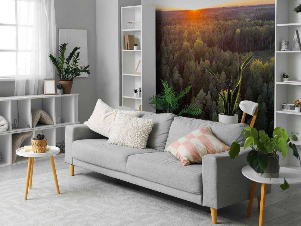 Luftfoto av høsttrær