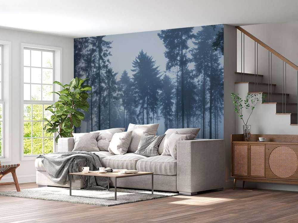 Det tåkefulle landskapet