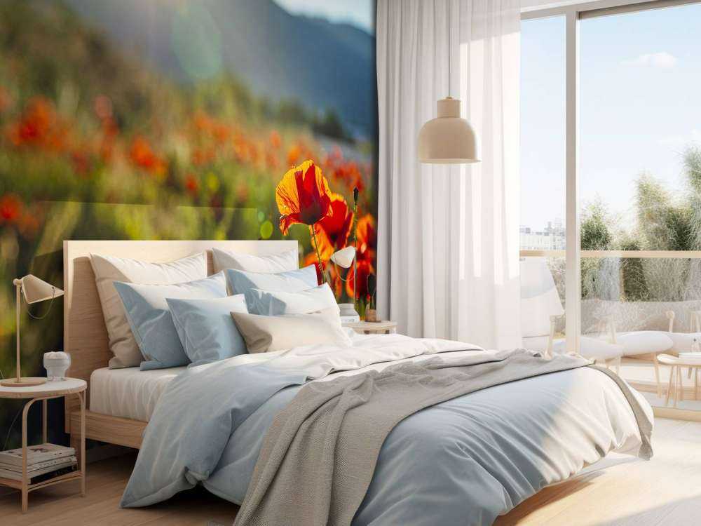 Valmuer med solstråler