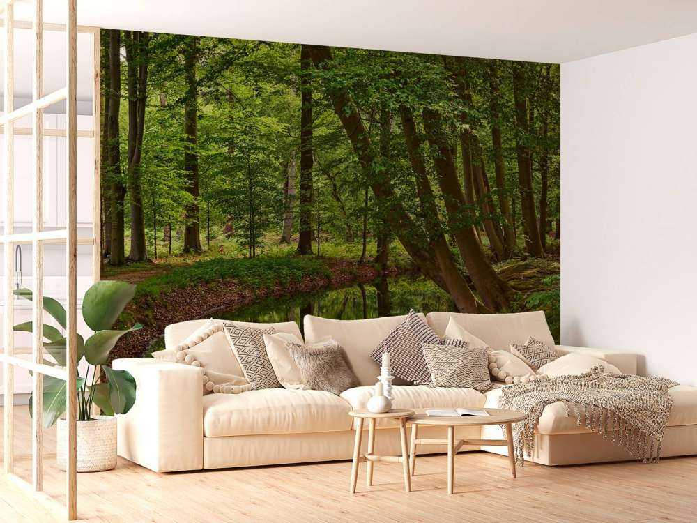 Buede Traer ved vannet